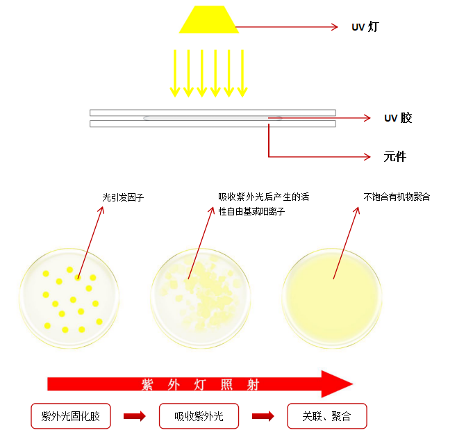 紫外光固化胶反应原理